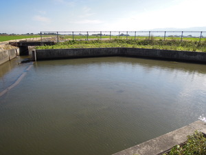 DSCN9974