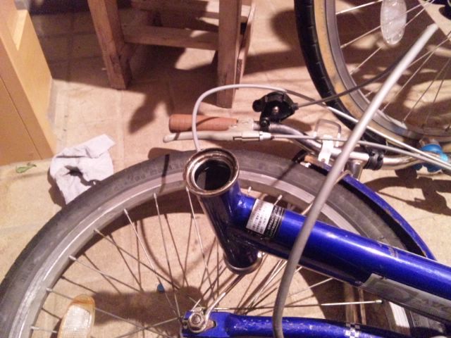折りたたみ自転車のヘッドパーツをグリスアップした : シーバス電脳