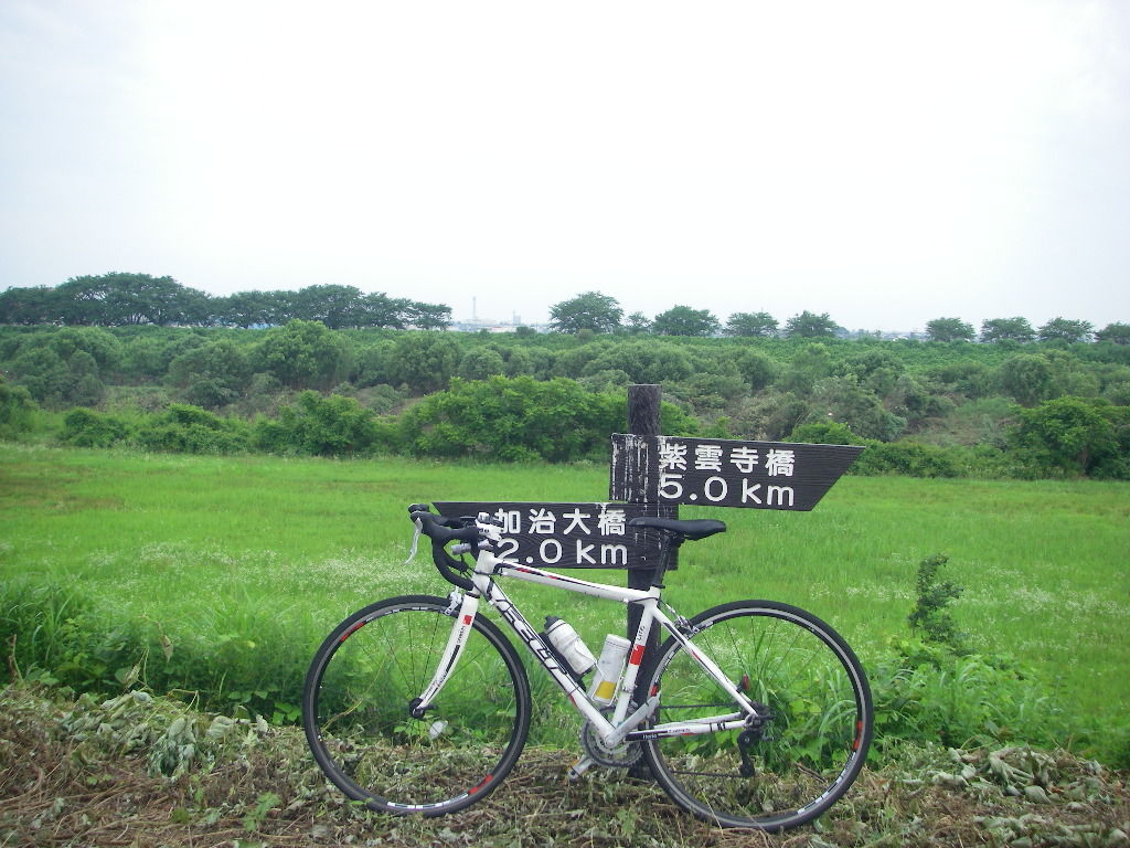 早朝100km サイクリング アイガモ全滅 涙 シーバス電脳日誌 ロードバイクでサイクリングも