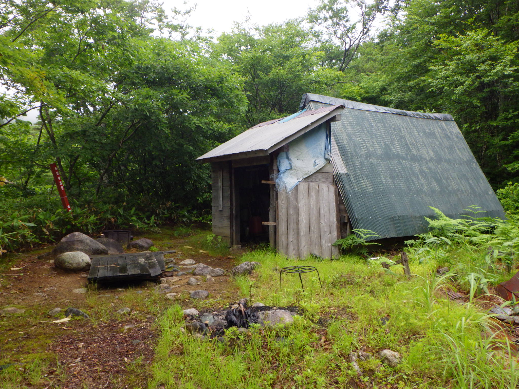 朝日連峰大朝日岳 1本吊り橋を渡ってヒナウスユキソウとヒメサユリに会いに行く シーバス電脳日誌 ロードバイクでサイクリングも