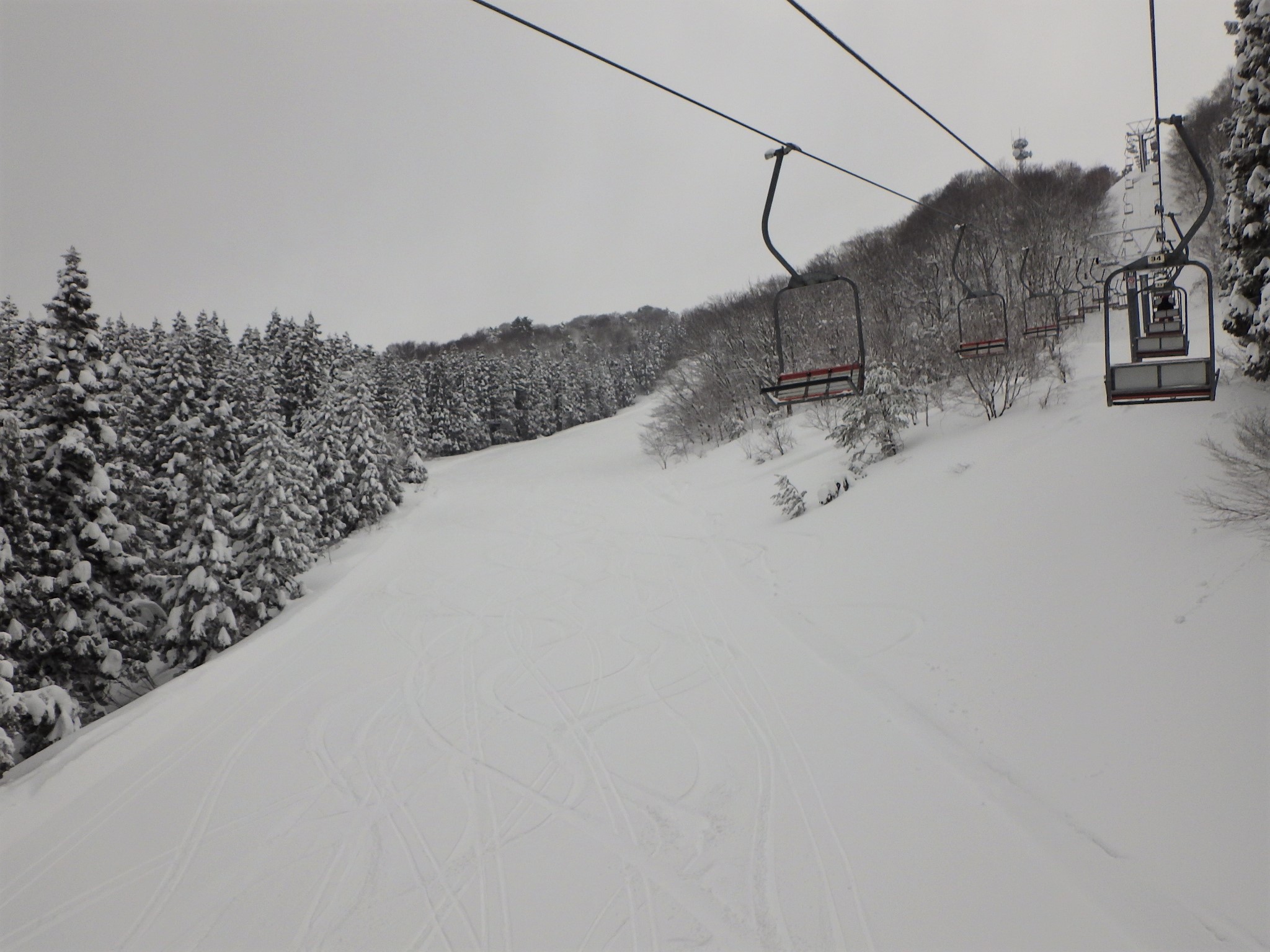 シーバス電脳日誌 ロードバイクでサイクリングも スキー15回目 わかぶな高原スキー場 新しい防水グローブ投入 livedoor Blog(ブログ) シーバス電脳日誌 ロードバイクでサイクリングも スキー15回目 わかぶな高原スキー場 新しい防水グローブ投入 livedoor Blog(ブログ)