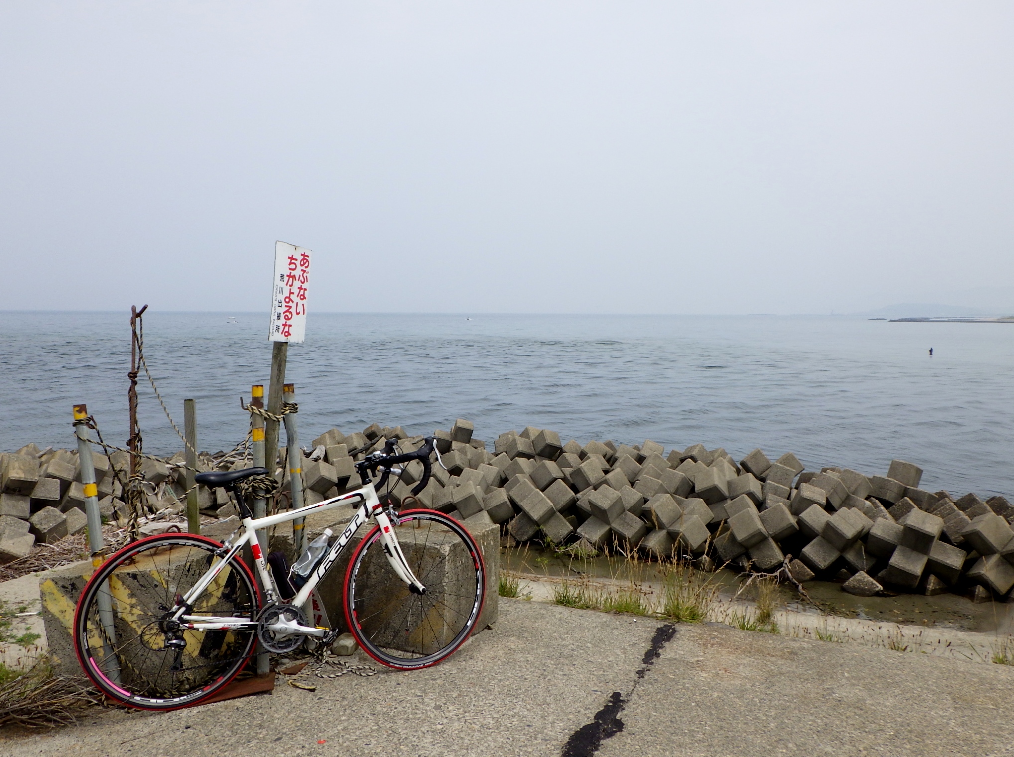 荒川河口までサイクリング100km 雨降りそうだけどね シーバス電脳日誌 ロードバイクでサイクリングも 荒川河口までサイクリング100km 雨降りそうだけどね シーバス電脳日誌 ロードバイクでサイクリングも
