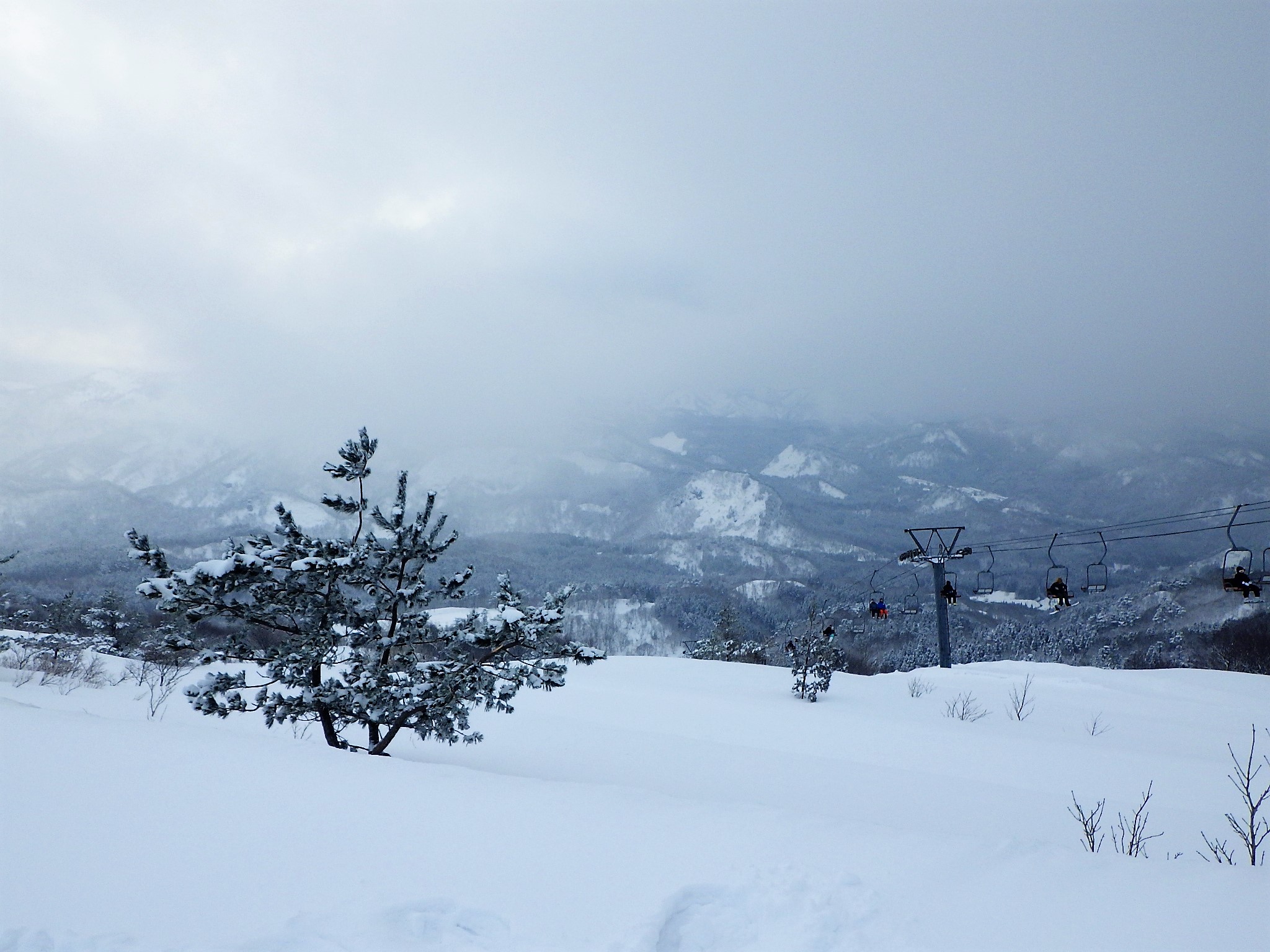 シーバス電脳日誌 ロードバイクでサイクリングも March 06, 2018 livedoor Blog(ブログ) シーバス電脳日誌 ロードバイクでサイクリングも March 06, 2018 livedoor Blog(ブログ)