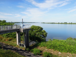 DSCN9973