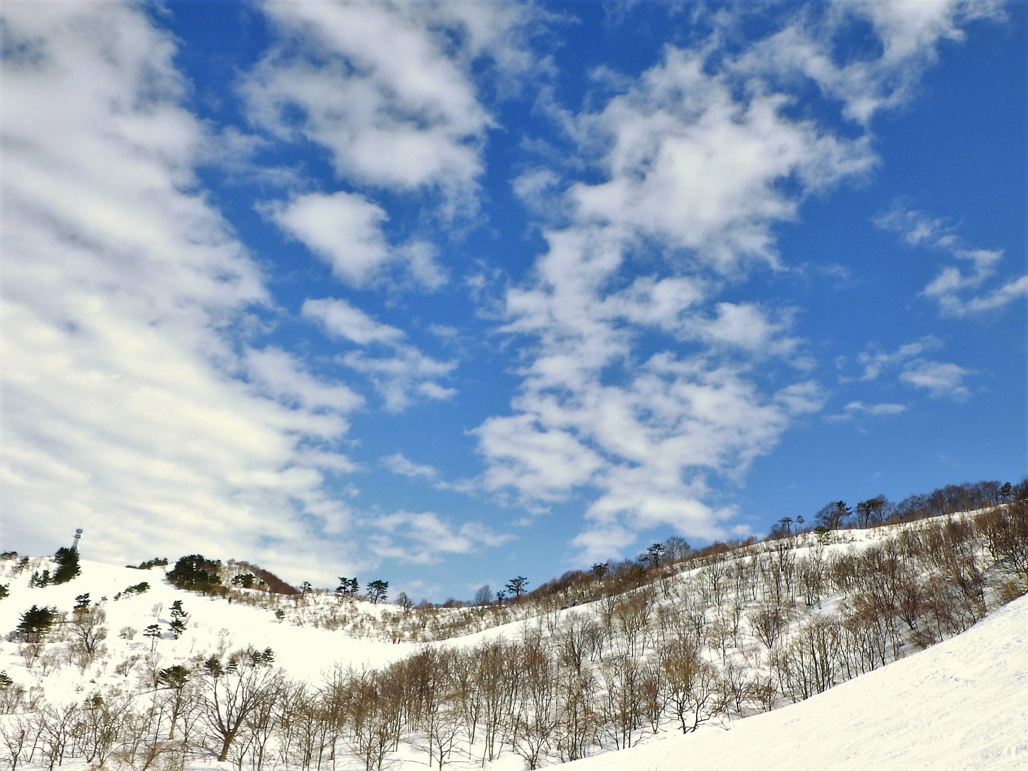 シーバス電脳日誌 ロードバイクでサイクリングも スキー17回目 わかぶな高原スキー場 春の陽気だった livedoor Blog(ブログ) シーバス電脳日誌 ロードバイクでサイクリングも スキー17回目 わかぶな高原スキー場 春の陽気だった livedoor Blog(ブログ)