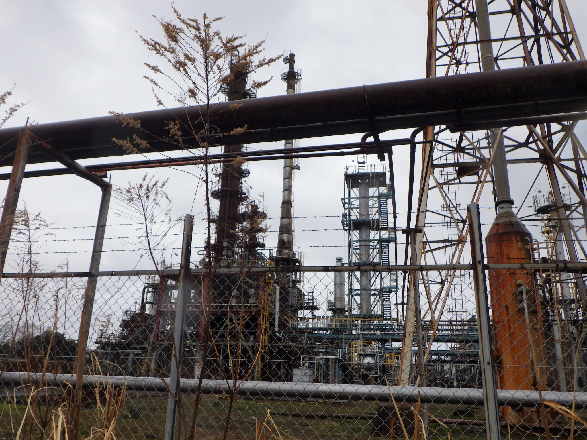 ジョギング 異次元空間を行く シーバス電脳日誌 ロードバイクでサイクリングも ジョギング 異次元空間を行く シーバス電脳日誌 ロードバイクでサイクリングも