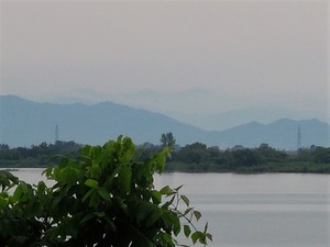 DSCN9965