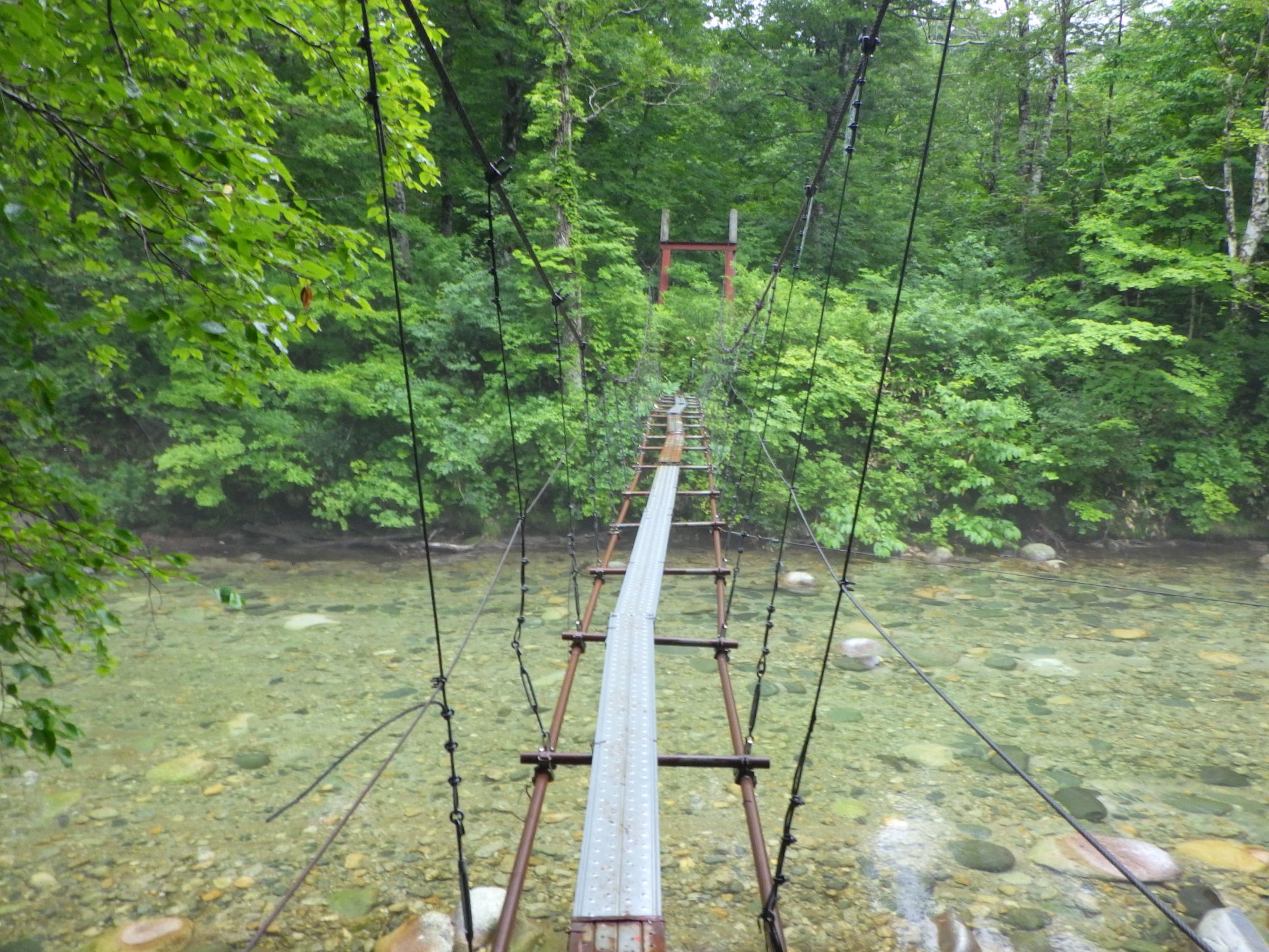 朝日連峰大朝日岳 1本吊り橋を渡ってヒナウスユキソウとヒメサユリに会いに行く シーバス電脳日誌 ロードバイクでサイクリングも