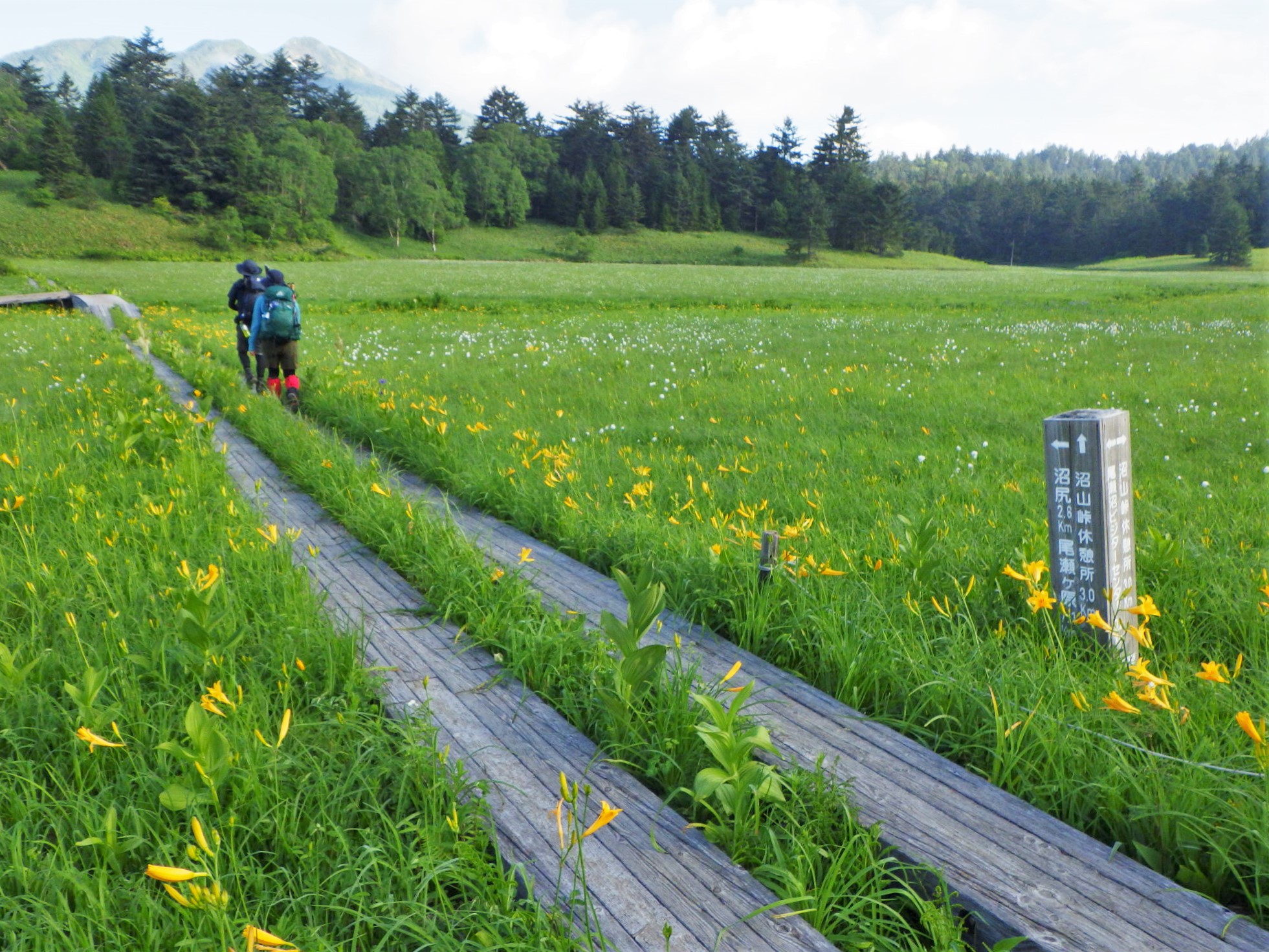 尾瀬登山最終日 白砂峠と尾瀬沼 大江湿原 シーバス電脳日誌 ロードバイクでサイクリングも