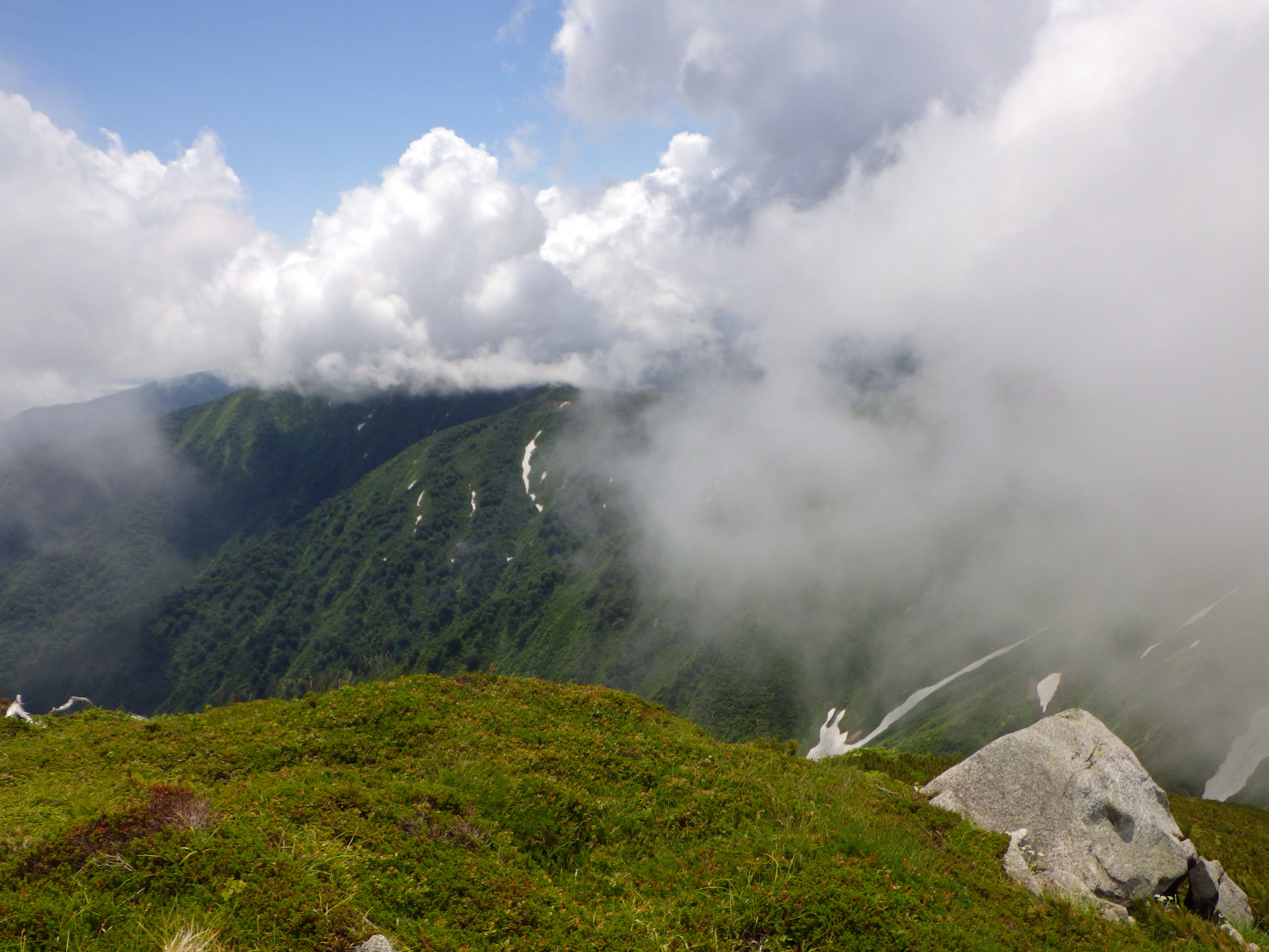 朝日連峰大朝日岳 1本吊り橋を渡ってヒナウスユキソウとヒメサユリに会いに行く シーバス電脳日誌 ロードバイクでサイクリングも