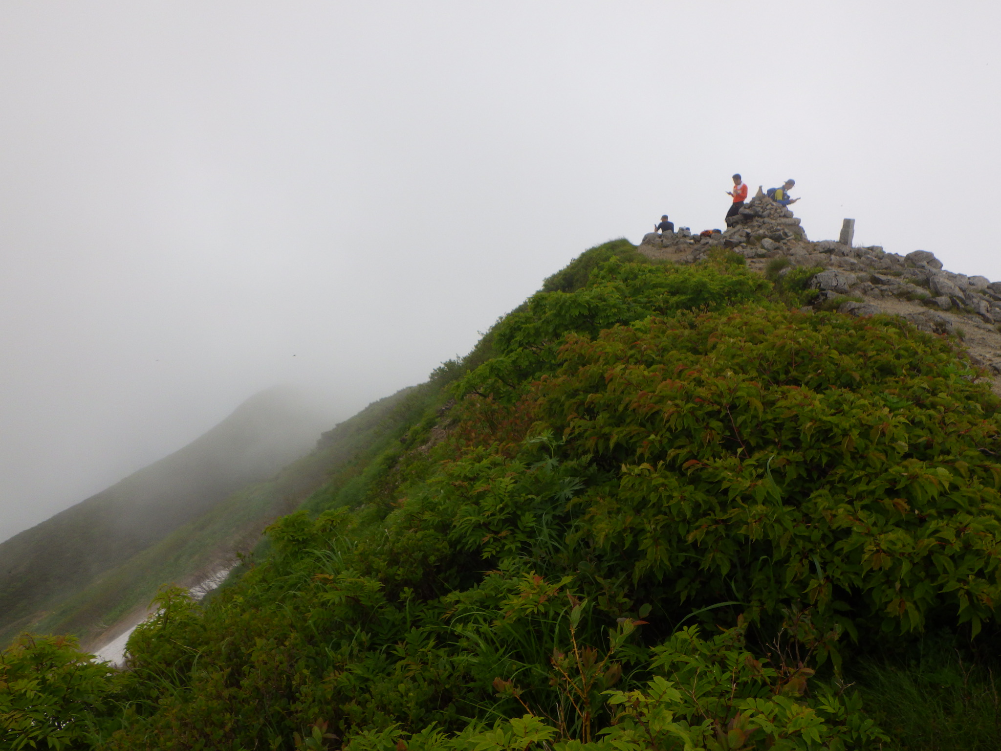 朝日連峰大朝日岳 1本吊り橋を渡ってヒナウスユキソウとヒメサユリに会いに行く シーバス電脳日誌 ロードバイクでサイクリングも