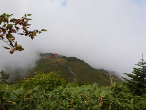 RIMG5431