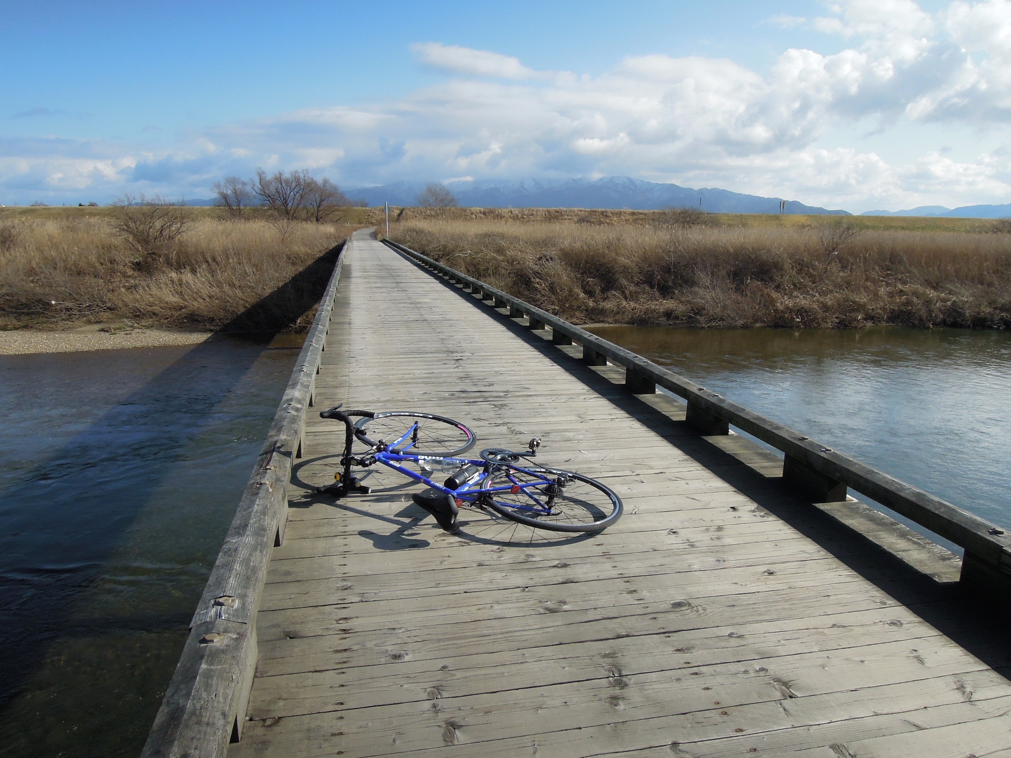 シーバス電脳日誌 ロードバイクでサイクリングも ロードバイク サイクリング 自転車 Livedoor Blog ブログ シーバス電脳日誌 ロードバイクでサイクリングも ロードバイク サイクリング 自転車 Livedoor Blog ブログ