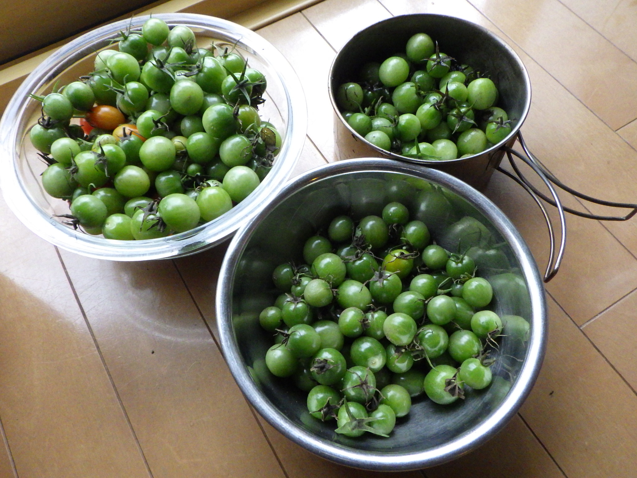 青いままのミニトマトをピクルスにした シーバス電脳日誌 ロードバイクでサイクリングも