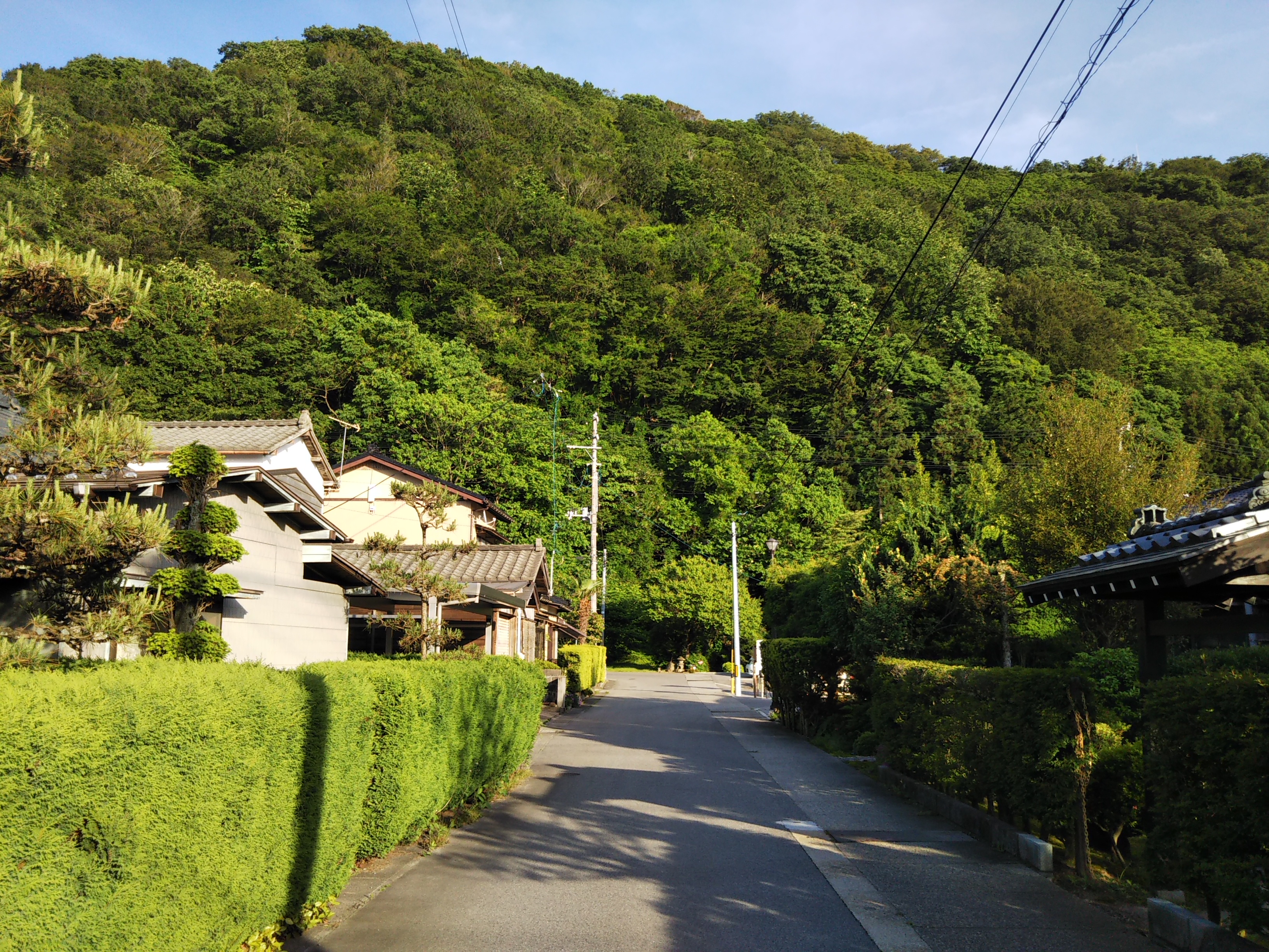 ジョギング 臥牛山 村上城址 岩ケ崎 三面川河口 シーバス電脳日誌 ロードバイクでサイクリングも ジョギング 臥牛山 村上城址 岩ケ崎 三面川河口 シーバス電脳日誌 ロードバイクでサイクリングも