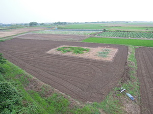 DSCN9986