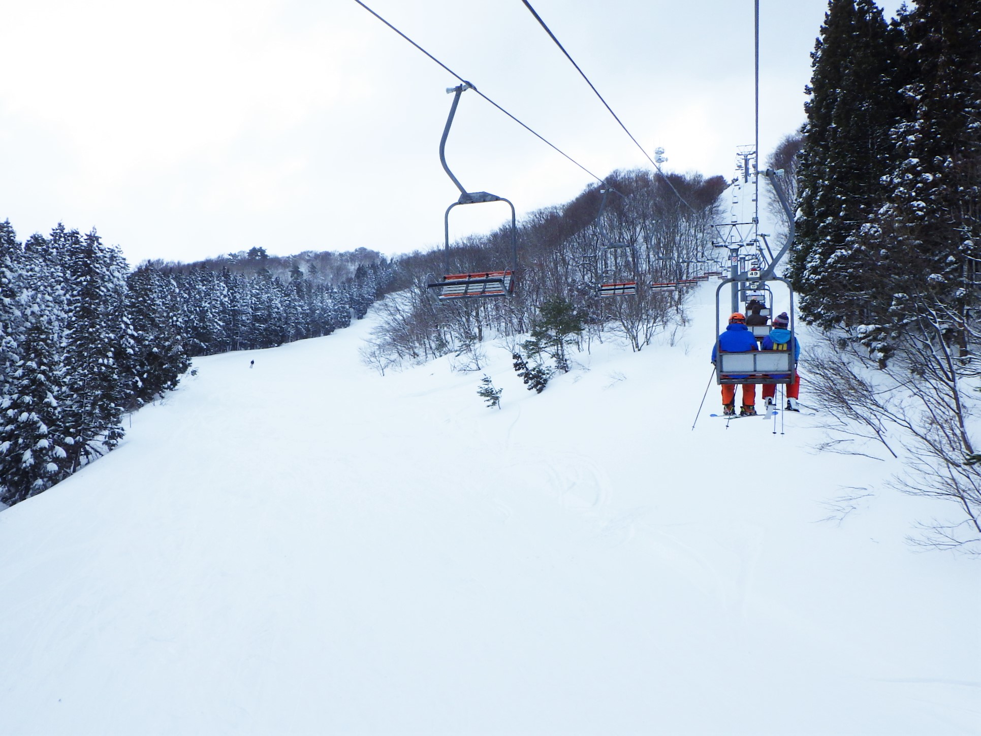 シーバス電脳日誌 ロードバイクでサイクリングも スキー11回目 わかぶな高原スキー場スキースクール参加2回目 livedoor Blog(ブログ) シーバス電脳日誌 ロードバイクでサイクリングも スキー11回目 わかぶな高原スキー場スキースクール参加2回目 livedoor Blog(ブログ)