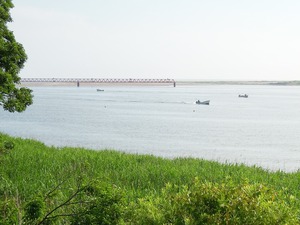 DSCN9971