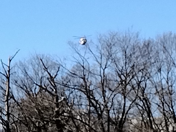 IMG_20260110_144449300