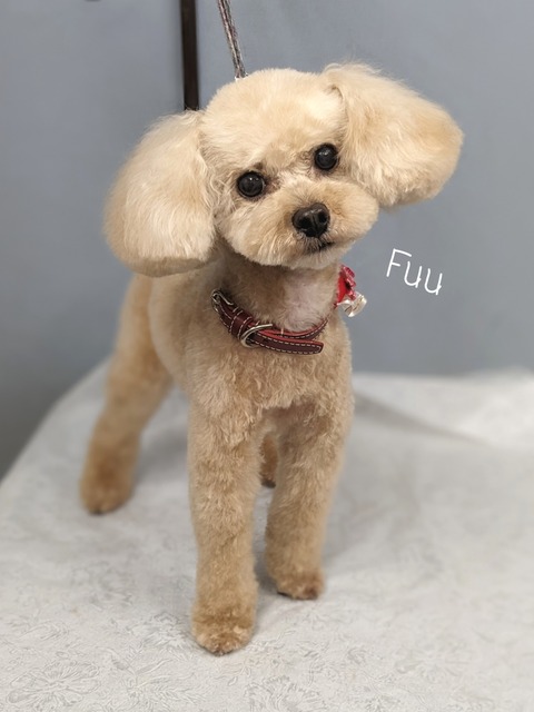 23-06-27-18-16-31-803_deco