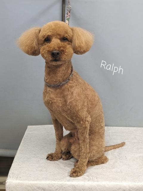 23-06-30-18-04-33-865_deco