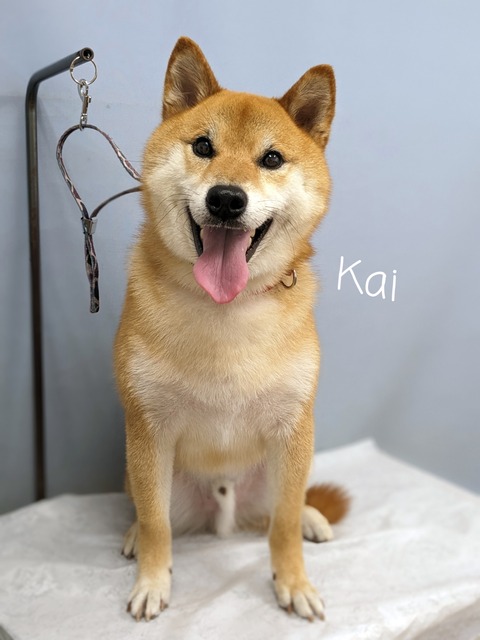 23-06-27-15-51-43-966_deco