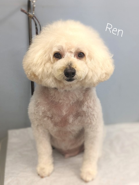 23-06-29-11-00-33-270_deco