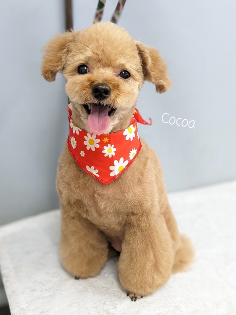 23-06-29-13-11-44-389_deco