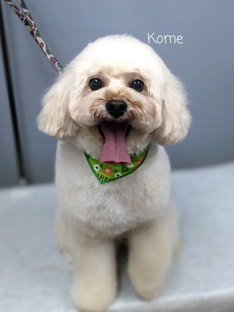 23-06-29-18-54-08-247_deco