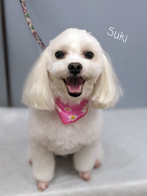 23-06-30-18-05-05-698_deco