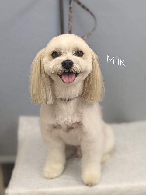 23-06-30-13-17-34-034_deco