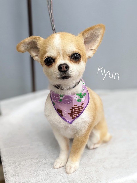 23-06-27-14-56-32-757_deco