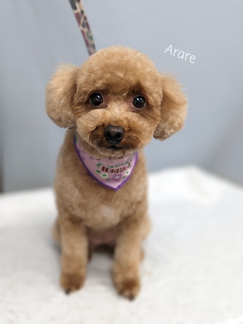 23-06-27-18-16-55-119_deco