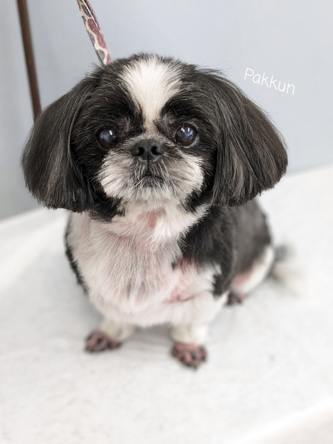 23-06-27-14-57-00-230_deco