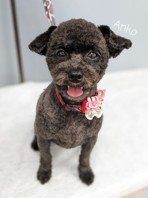 23-06-27-14-58-32-916_deco