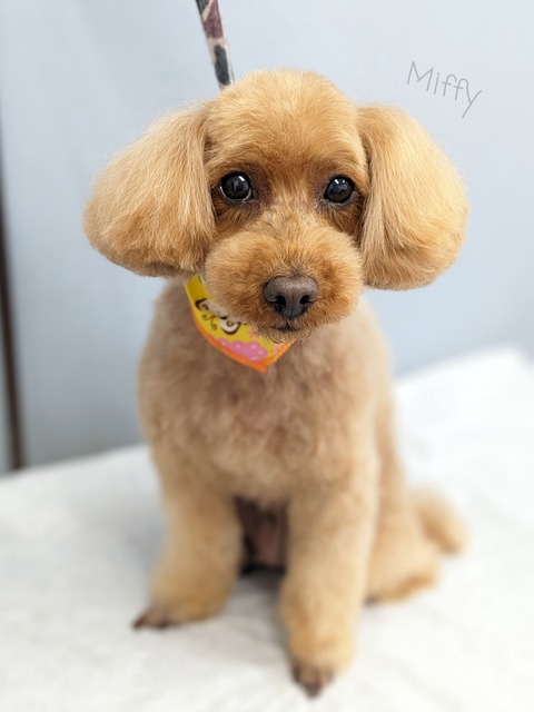 23-06-29-10-17-56-477_deco