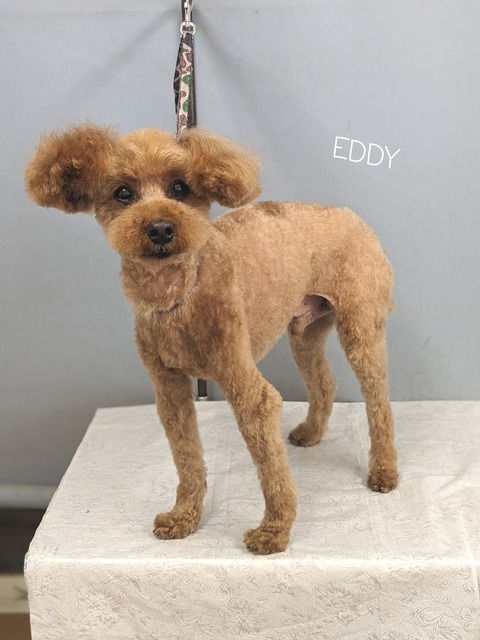 23-06-30-18-03-37-109_deco