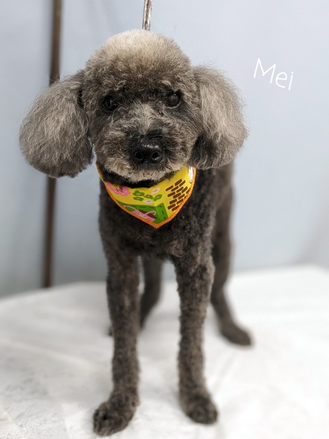 23-06-27-18-15-59-592_deco