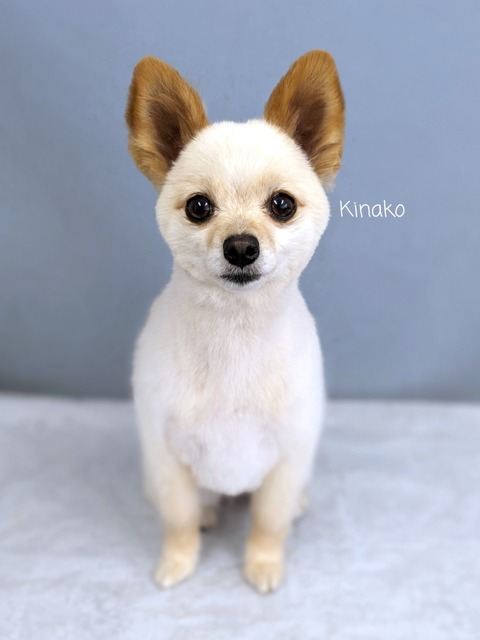 23-06-29-10-57-19-980_deco