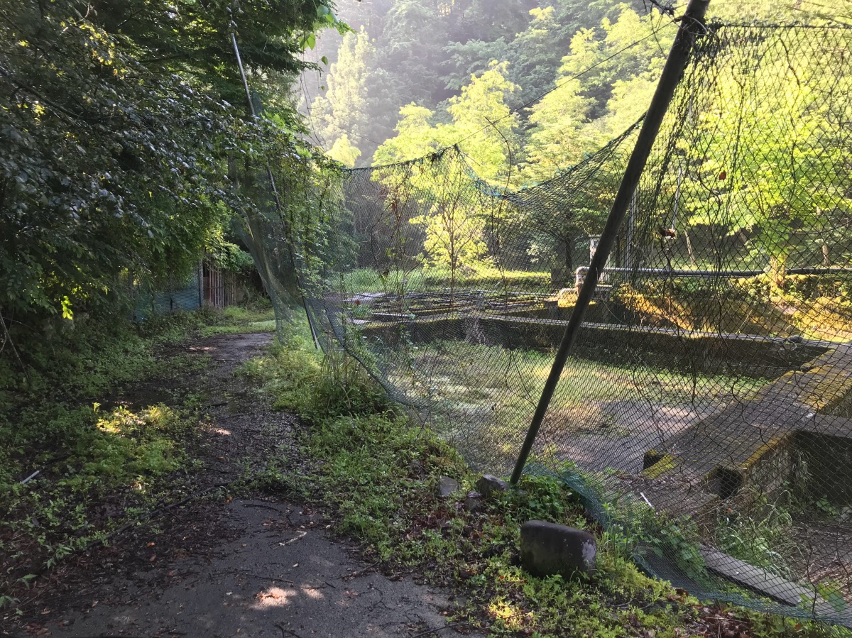 K川 源流の溪 : *** Salon 氣流 *** Extreme 美容師・登山・カメラ・渓