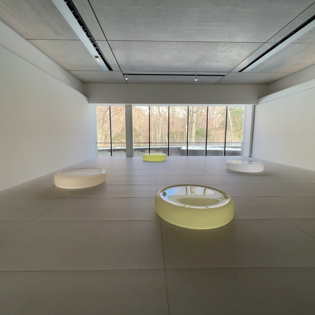 Ȣ�����ݡ������Ѵۡ����˥ۡ���roni horn