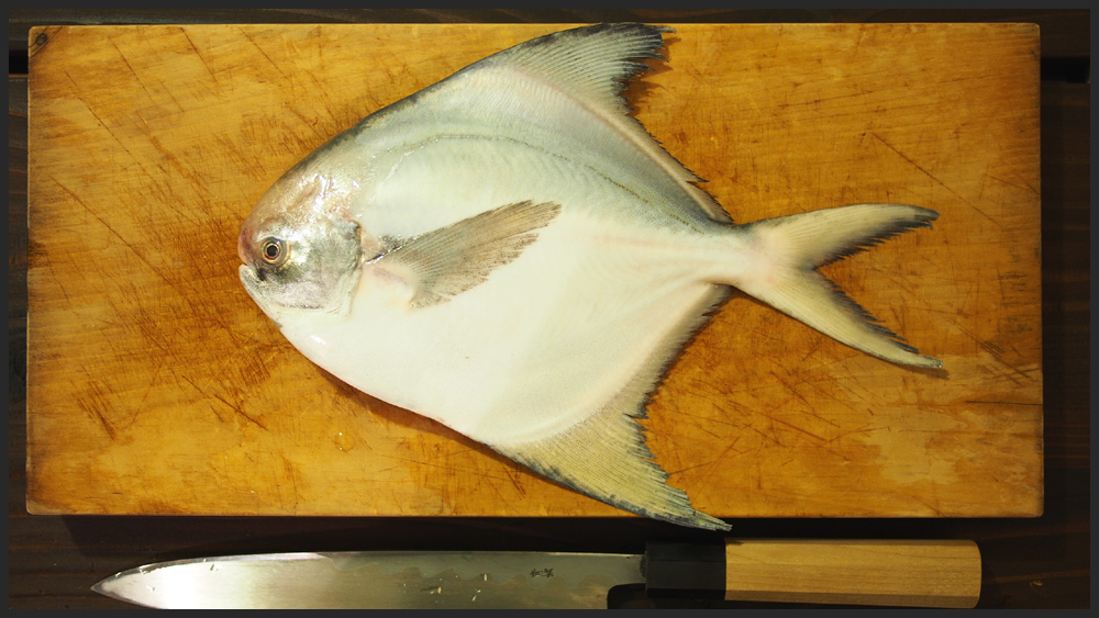 マナガツオ Salon 氣流 Extreme 美容師 登山 カメラ 渓魚と遊ぶ