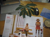 NIGO