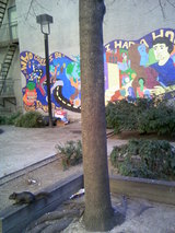 �������ȥϡ�����ɲ�