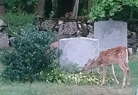 geocache12