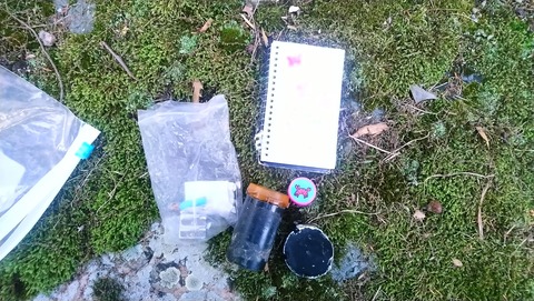 geocache11