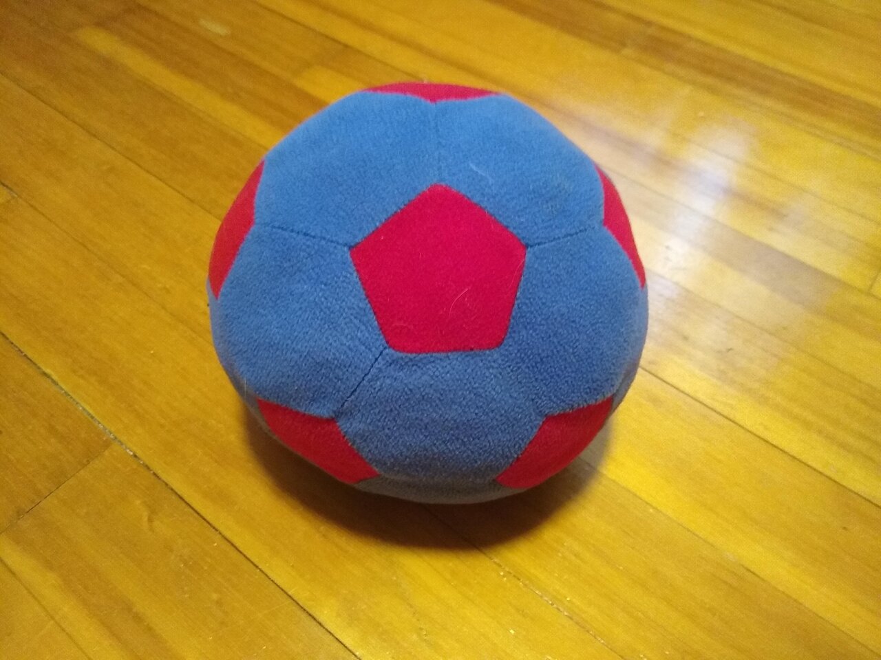 ボビー サッカー少年になるの巻 Saltbox 自閉症 自由ブログ Powered By ライブドアブログ ボビー サッカー少年になるの巻 Saltbox 自閉症 自由ブログ Powered By ライブドアブログ