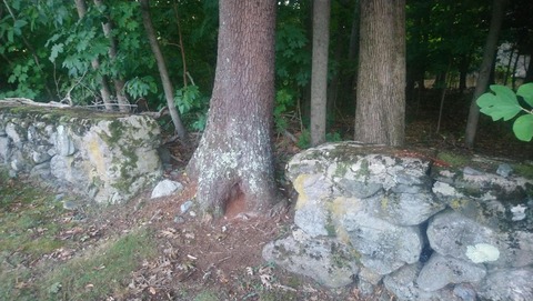 geocache 03