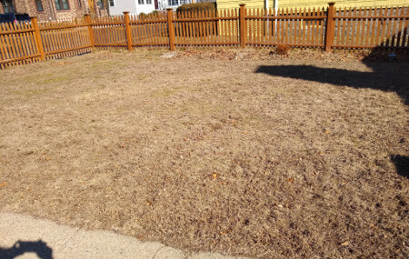 yard2020