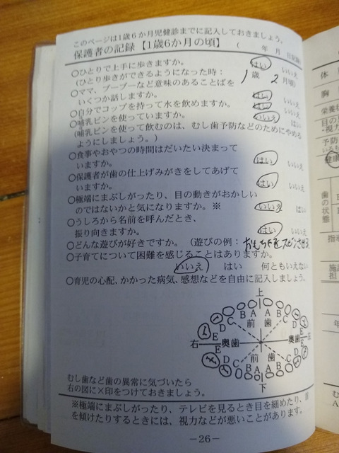 boshi2